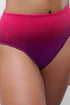 Chantelle Swim One Size Flex-size High Waist Swim Bottom